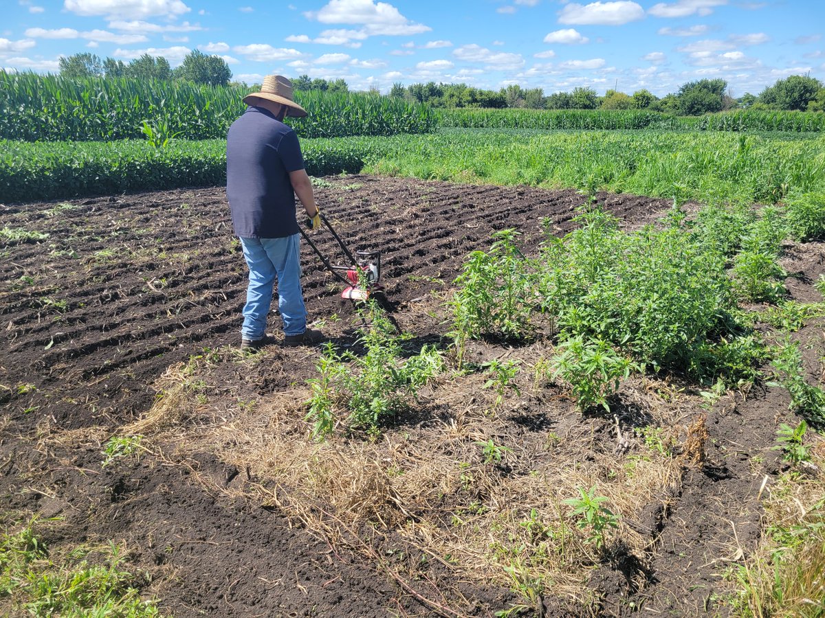 North Central Weed Science Society (@ncweedscience) on Twitter photo Another key part of my job is teamwork. Here's <a href="/DrewitzAgronomy/">Nathan Drewitz</a> helping me till some plots today in Clear Lake, IA. We are putting in plots for a retailer field day next month. Another key part of my job is teamwork. Here's <a href="/DrewitzAgronomy/">Nathan Drewitz</a> helping me till some plots today in Clear Lake, IA. We are putting in plots for a retailer field day next month.