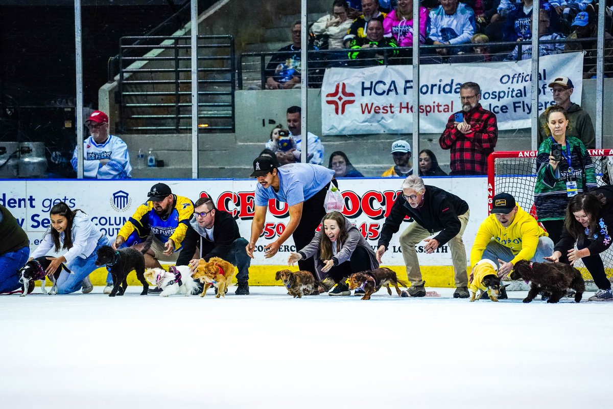 PcolaIceFlyers's tweet image. Training check-in 🐾 Who’s gearing up for Nov. 29? 👀
Register your pup today: Iceflyers.com/fan-zone/small…