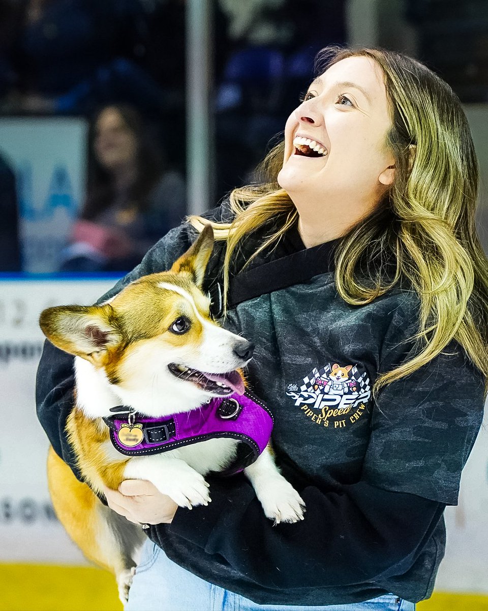 PcolaIceFlyers's tweet image. Training check-in 🐾 Who’s gearing up for Nov. 29? 👀
Register your pup today: Iceflyers.com/fan-zone/small…