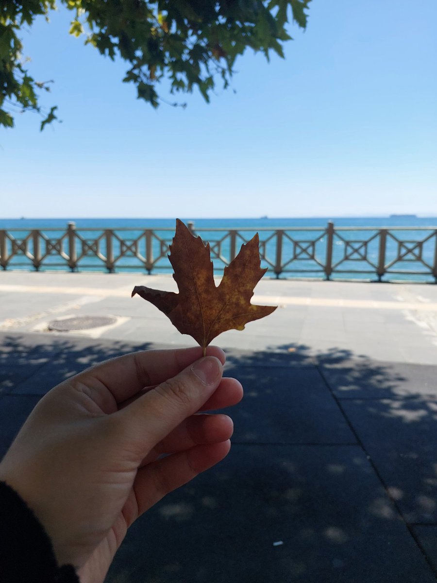Sonra içimizdeki boşluk hissini doldurmaya çalışmakla geçti zaman...