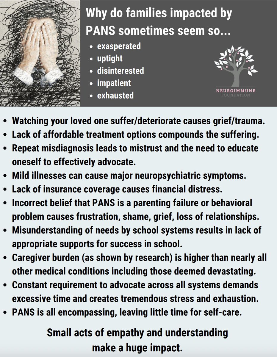 NeuroimmuneFDN's tweet image. 