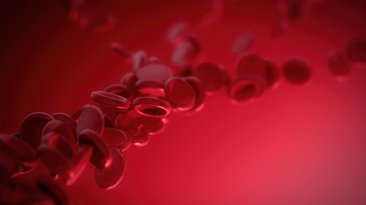 Missed the FDA ODAC meeting today?

Catch up on a meta-analysis of the DREAMM-7 and DREAMM-8 trials, which found that belantamab mafodotin is linked to high ocular toxicity in patients with relapsed or refractory #myeloma.

➡️ buff.ly/JEXWPaF