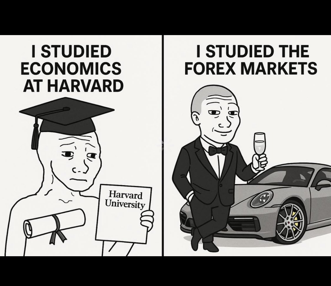 Harvard taught him the theory.
Forex taught him the lifestyle.