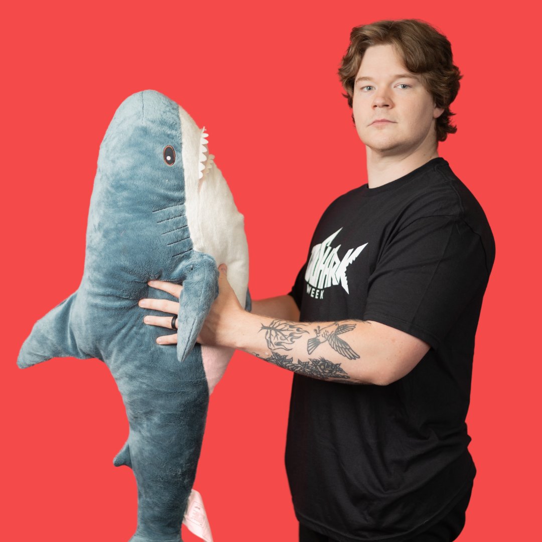 RedSharkDigital's tweet photo. New season, new shark pics.  

We cleaned up pretty well - see the proof. 📸 

#RedSharkDigital #SharkWeek #headshots #digitalmarketing #marketingagency https://t.co/tpa1suQ44m