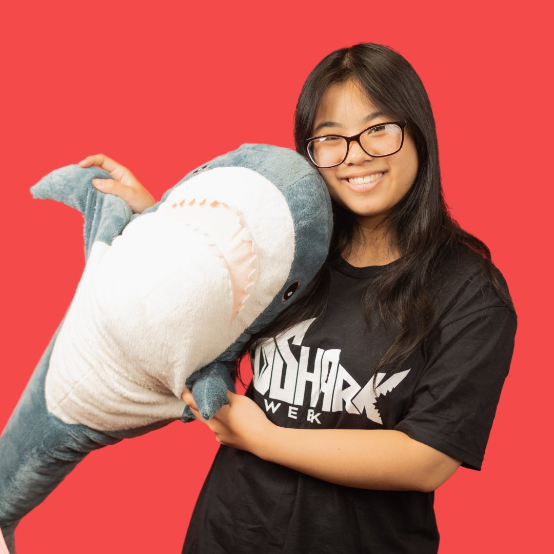 RedSharkDigital's tweet photo. New season, new shark pics.  

We cleaned up pretty well - see the proof. 📸 

#RedSharkDigital #SharkWeek #headshots #digitalmarketing #marketingagency https://t.co/tpa1suQ44m