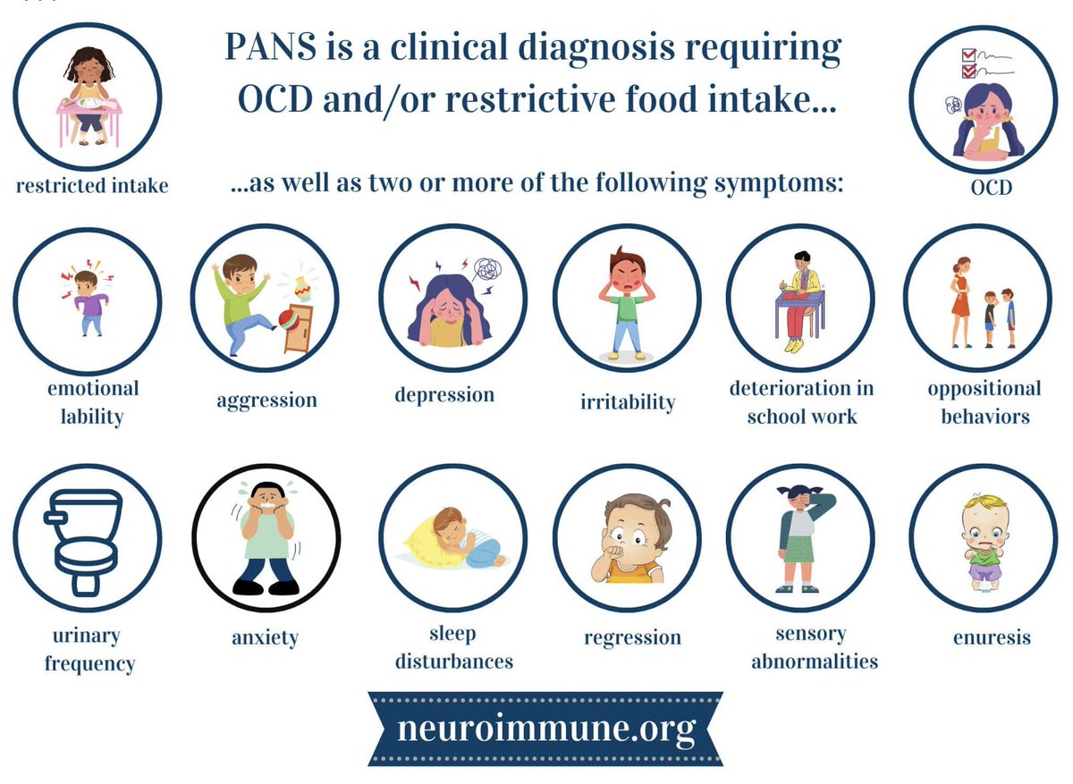 NeuroimmuneFDN's tweet image. 