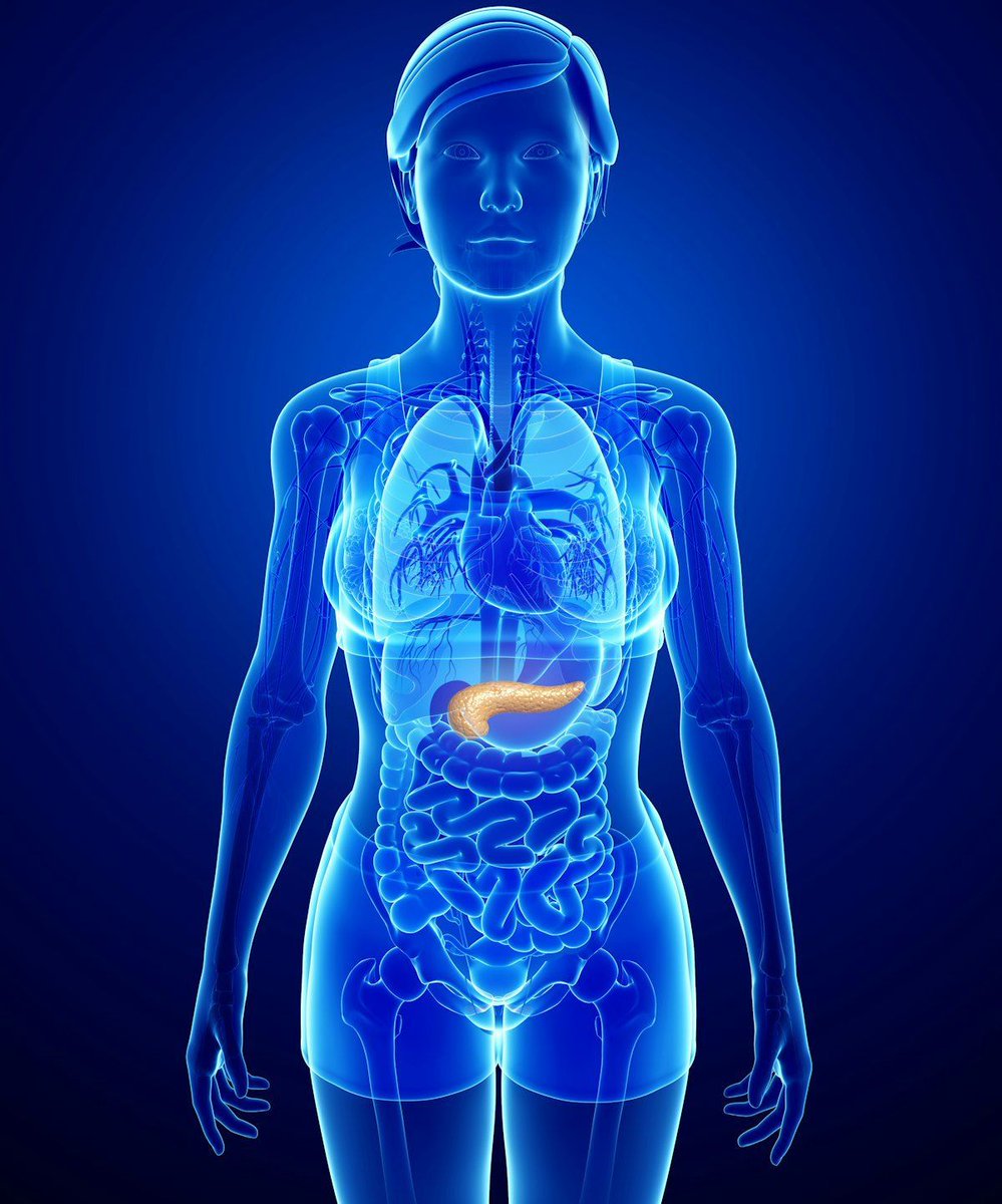 AuntMinnie's tweet image. ChatGPT-4 accurately classifies pancreatic cysts on MRI, CT imaging #radiology #ChatGPT #AI #CT #MRI @MSKCancerCenter @KevinCSoaresMD buff.ly/f8WzASA