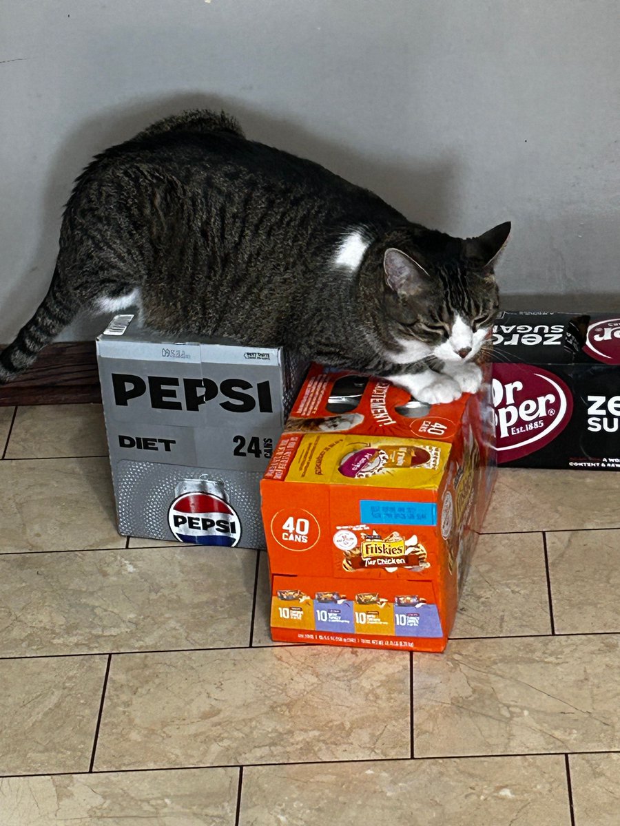 RayYanek's tweet image. He's at it again...  

#cats