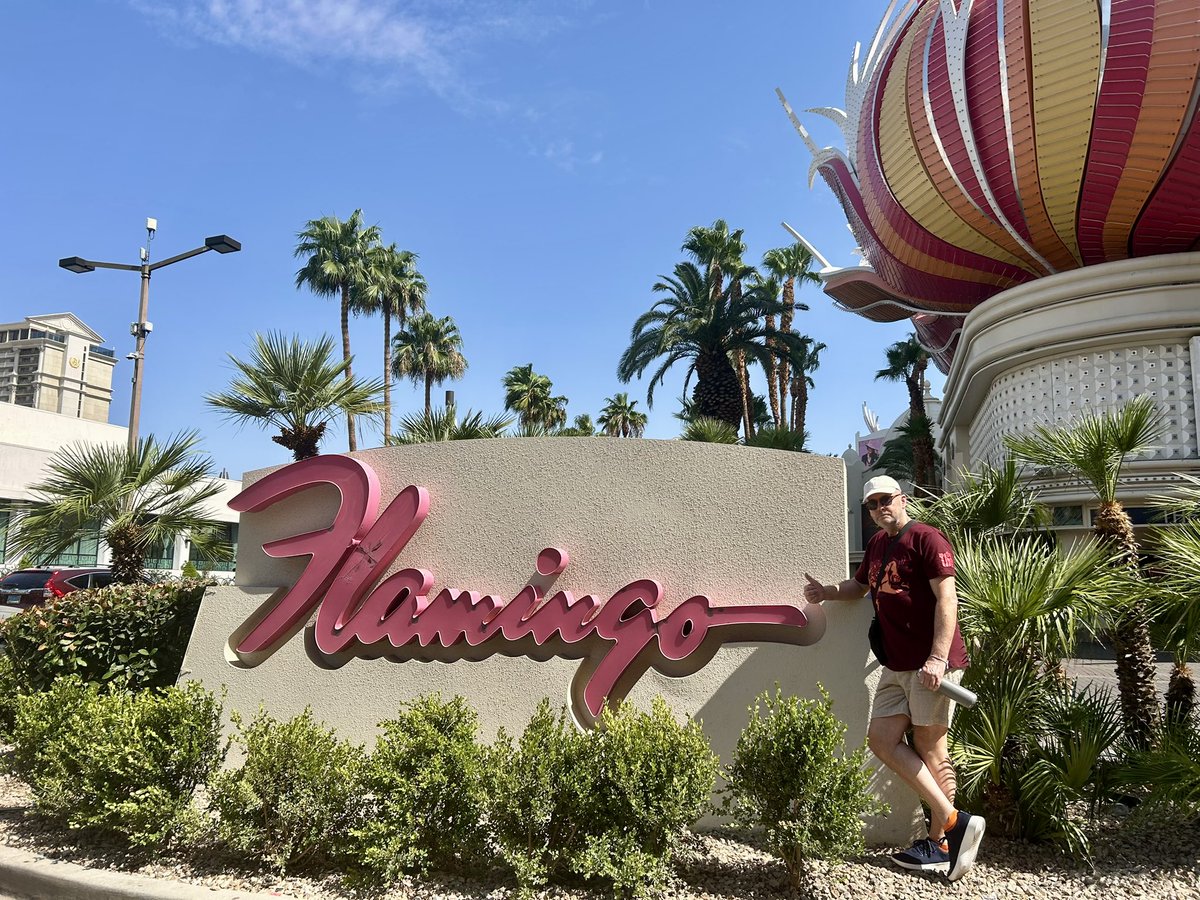 Jane_Arthur_'s tweet image. Viva Las Vegas 🦩🦩🦩 a cooler 35degrees today ☀️#Flamingo #CaesarsPalace #Venetian 🏛️🏛️🏛️