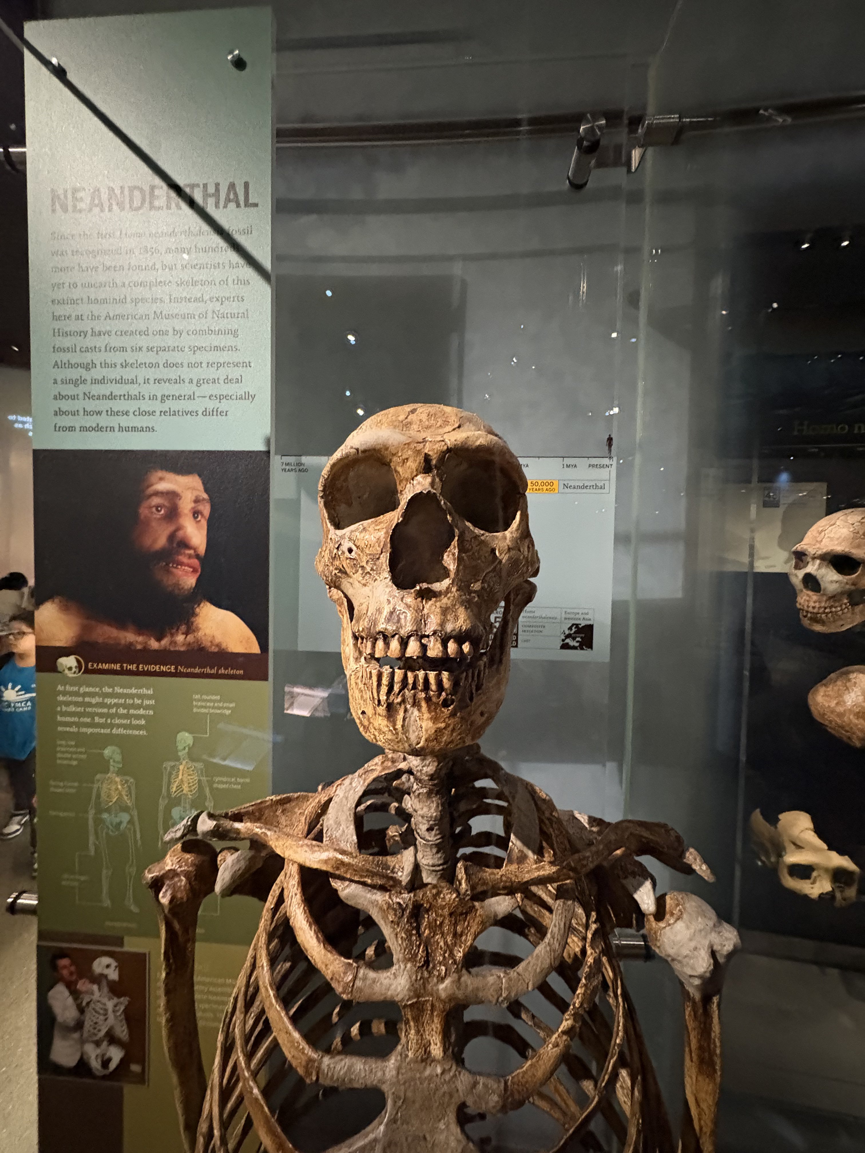 まっさん (@Massan_youtube_) / X