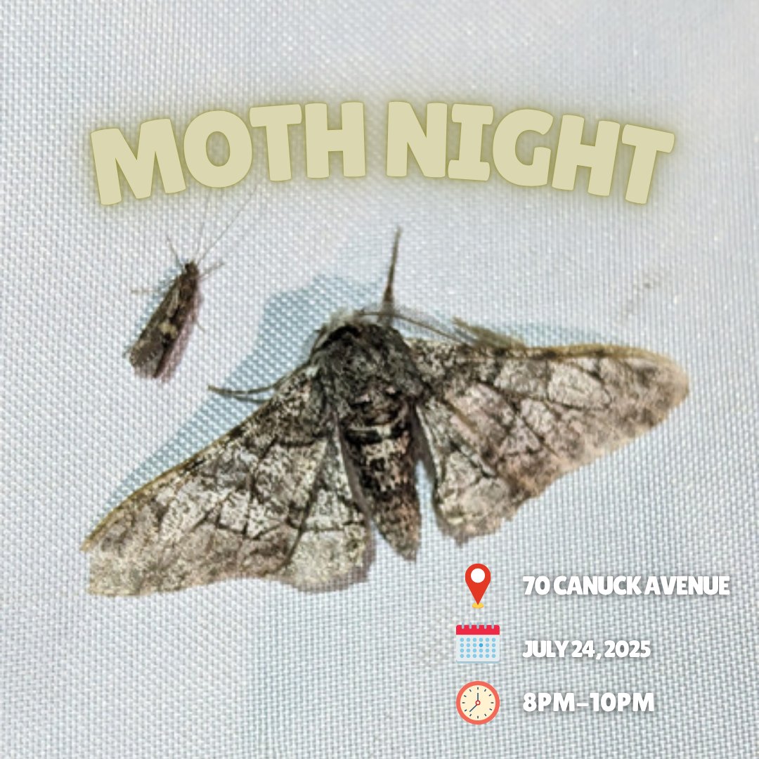 ParCKDownsview's tweet image. 🦋🌙 Moth Night is taking flight on July 24 with the Toronto Entomologists’ Association to become a “moth-er”! Join for an evening walk and light trapping to see some moth magic: bit.ly/43n8Squ
This education program is proudly supported by @TD_Canada