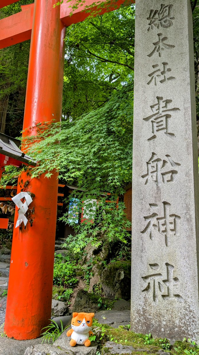 ymobileOfficial's tweet image. ふてニャンの電波旅行記🐱
今日は京都の山あいに佇む貴船神社へ⛩️✨
苔むす石畳と灯籠が並ぶ参道は、まるで異世界のよう。
行ったことある方、どの季節がおすすめですか?リプライで教えてください🎐
ここでもワイモバイルの通信はしっかり快適です📶
#もっともっとつながるワイモバイルへ…