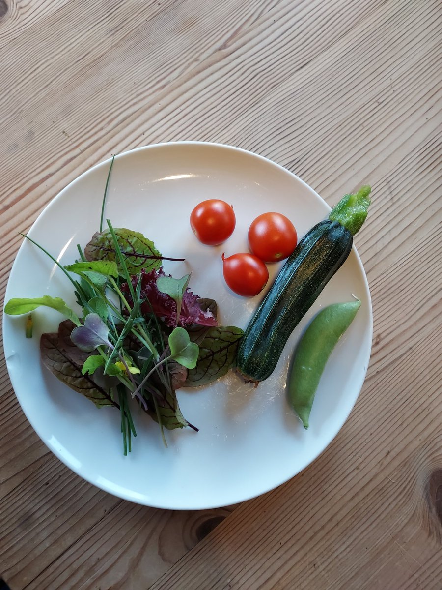 16/7 84g including 30g tomatoes...