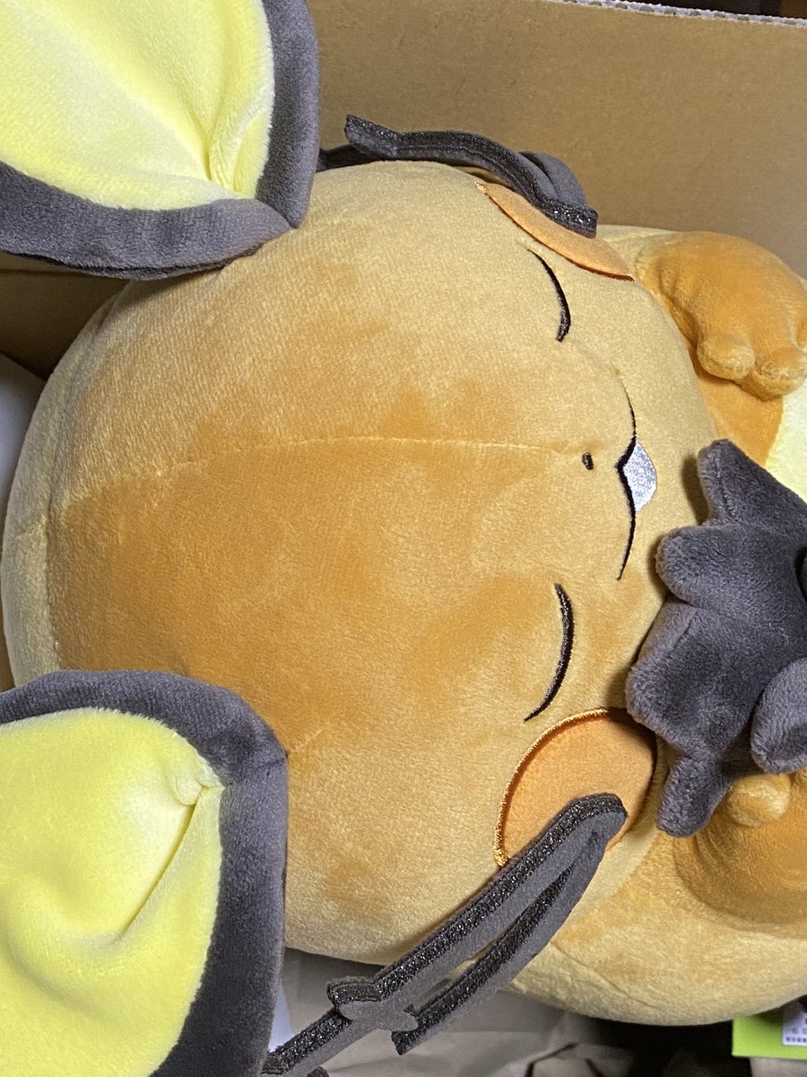 ue_pokesle's tweet image. #ポケスリ2周年をいっしょに 
おはようございます
初ジュプトル！ポケダンの影響でジュプトル好きです　かっこいいですよね

おねんねデデンネ届いたんね！