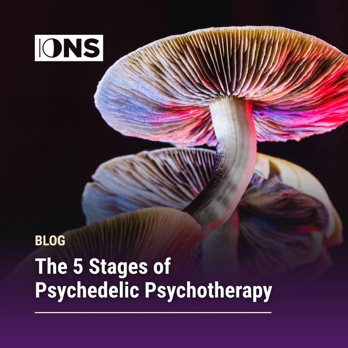 IONS Fellow Michael Ryoshin Sapiro shares how most people usually think of the psychedelic experience as the sole focus of psychedelic psychotherapy, but this five-stage process can be helpful, healing, and transformational.   

Read more: noetic.org/blog/the-5-sta…
