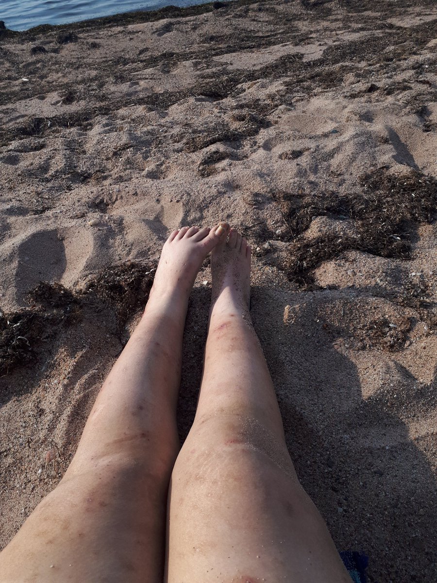 Natashaꨄ︎ tweet media