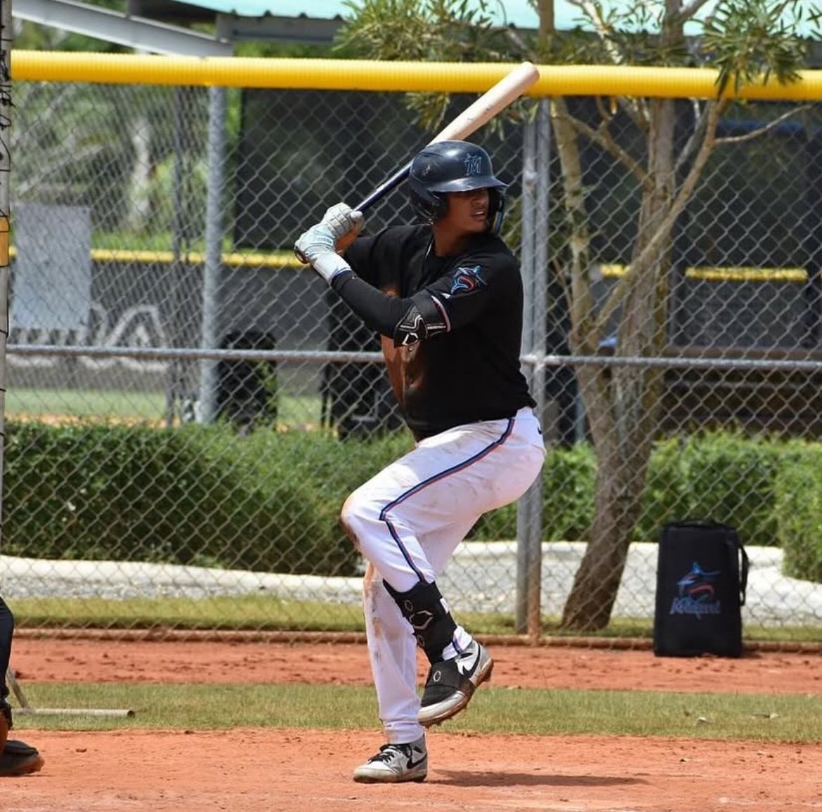 marlinsminors's tweet image. #Marlins prospects Almen Tolentino, Luis Arana, and Diwarys Encarnacion will
participate in the DSL All-Star Game on Sunday.

Gianni Bloom will act as a coach.