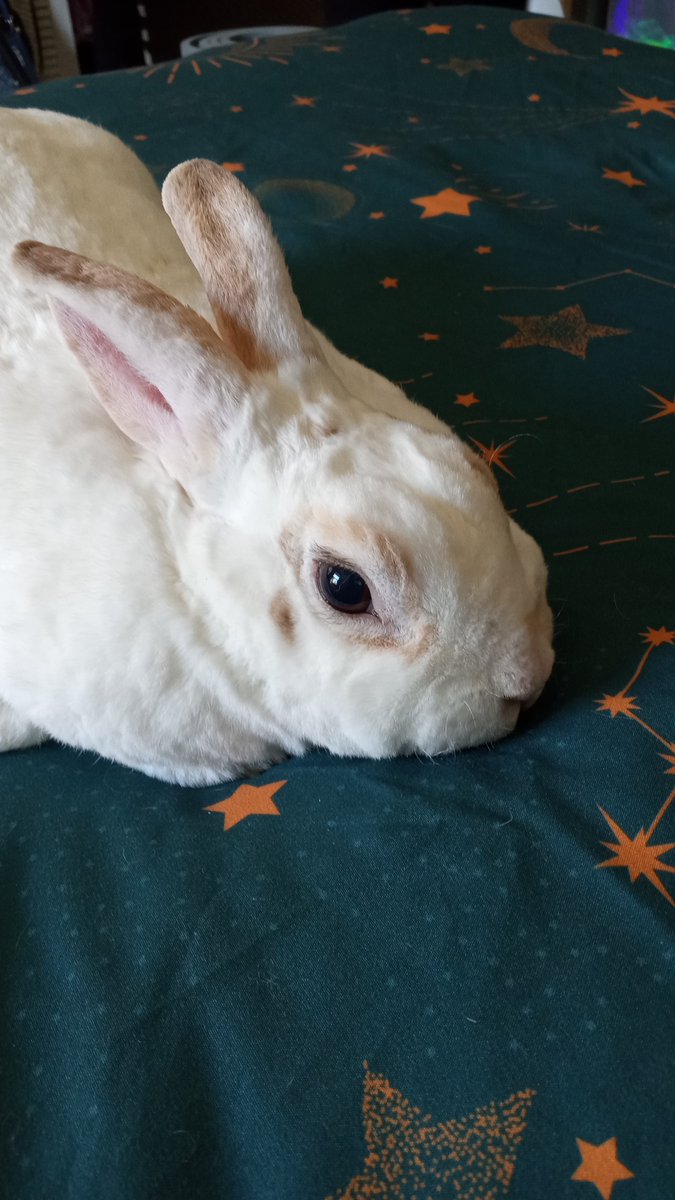 That face!