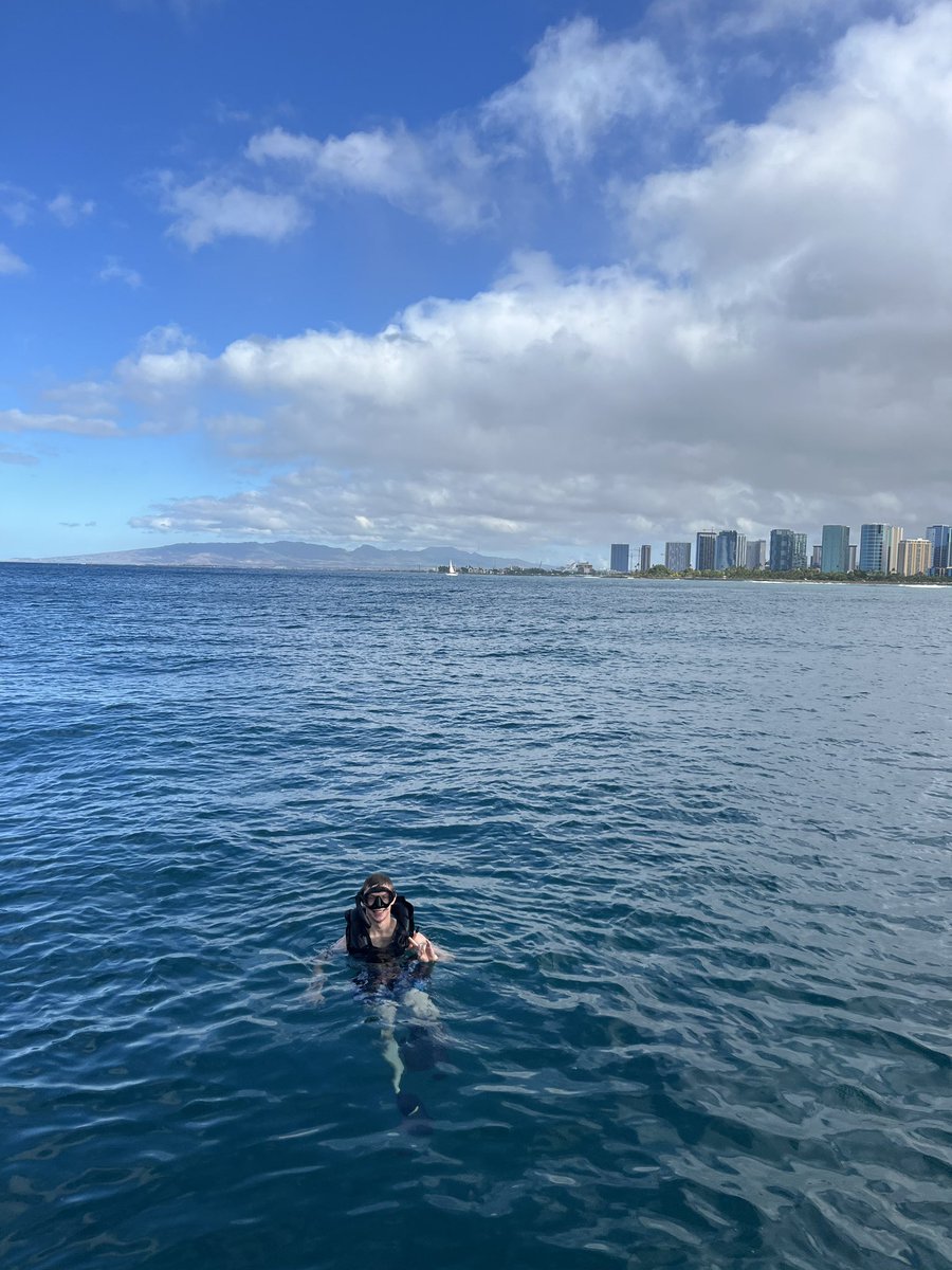 mariahfiyaaa's tweet photo. Hawaiian honeymoon 🌺🌴🍍☀️ https://t.co/q5FDNzHPNx