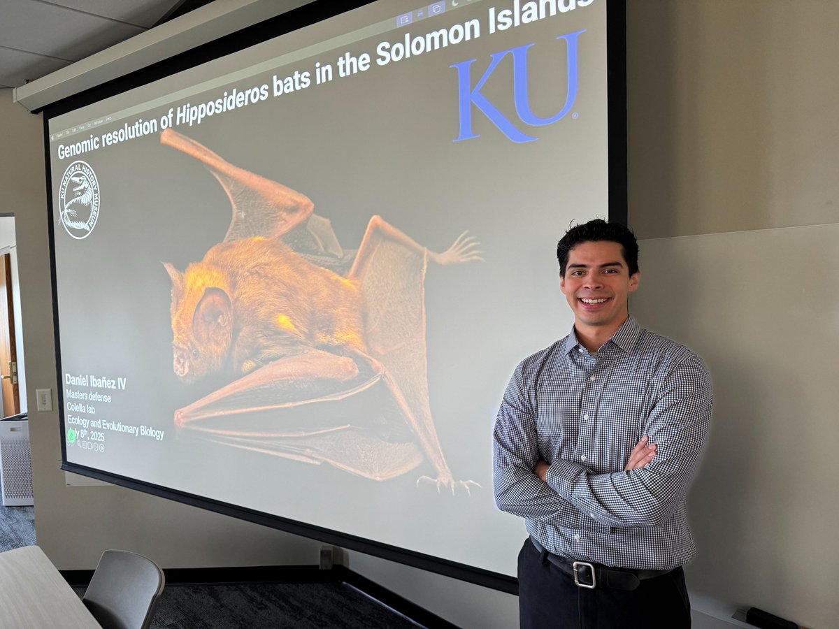 kunhm's tweet image. Double the celebration! 🎉🐭🦇 Congrats to KU Mammalogy students Alex Hey & Danny Ibanez on successfully defending their master’s theses! Alex studied hybrid woodrats in the field using Nanopore tech; Danny explored Hipposideros bat genomics in the Solomons.
KU PhDs up next!🎓