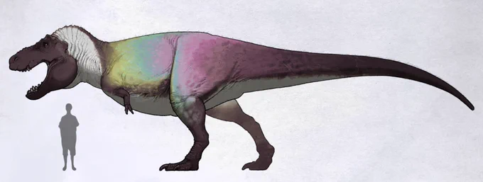 おは古生物!!