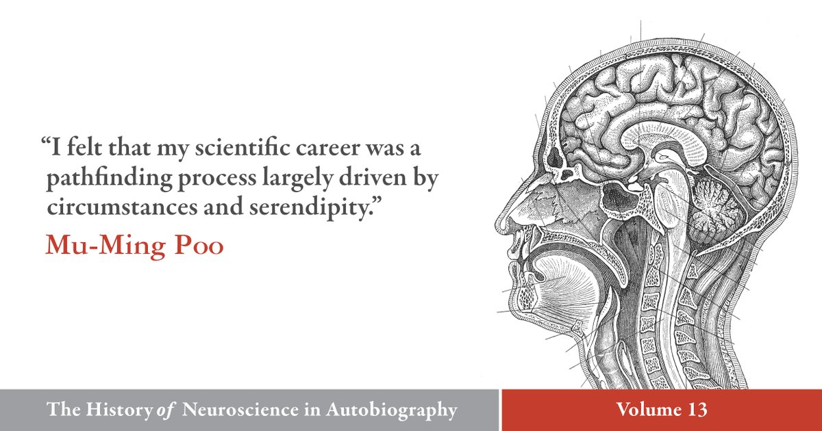 SfNJournals's tweet image. Read about the life and career of Mu-ming Poo in the #HistoryOfNeuroscience in Autobiography, Volume 13. Access the complete series free to download in the link below.
vist.ly/3yaj2