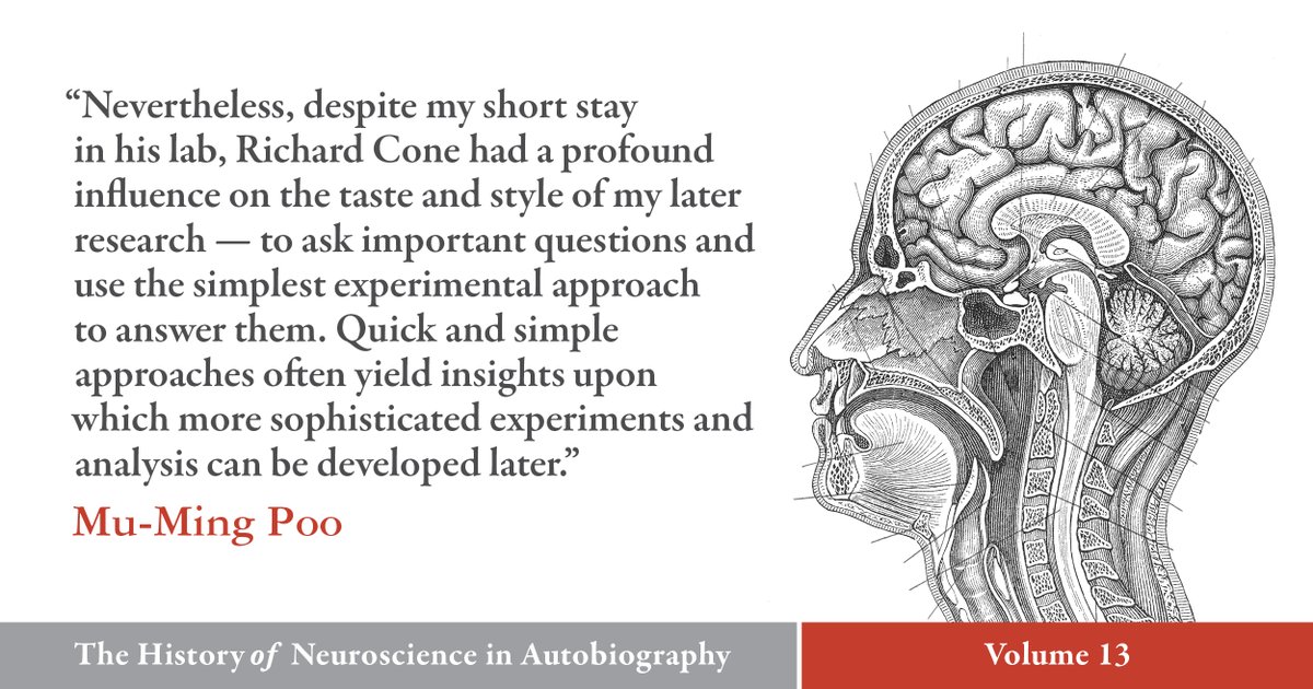 SfNJournals's tweet image. Read about the life and career of Mu-ming Poo in the #HistoryOfNeuroscience in Autobiography, Volume 13. Access the complete series free to download in the link below.
vist.ly/3yaj2