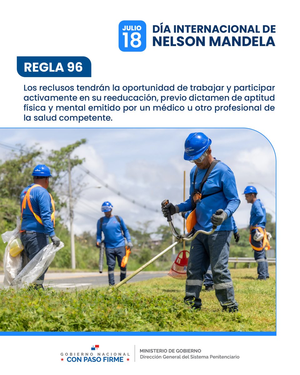 Dirección General del Sistema Penitenciario (@penitenciariopa) on Twitter photo #ReglasNelsonMandela Mantenemos 3,332 plazas de trabajo intramuros, 437 laboran en talleres productivos y más de 500 en el <a href="/PlanLibertad/">Plan Libertad</a>, donde las personas privadas de libertad ponen en práctica los conocimientos adquiridos en las capacitaciones.
#ConPasoFirme #ReglasNelsonMandela Mantenemos 3,332 plazas de trabajo intramuros, 437 laboran en talleres productivos y más de 500 en el <a href="/PlanLibertad/">Plan Libertad</a>, donde las personas privadas de libertad ponen en práctica los conocimientos adquiridos en las capacitaciones.
#ConPasoFirme