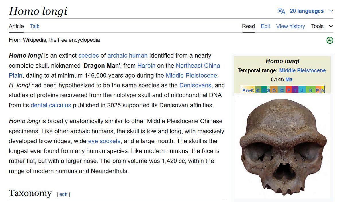 RogerP23486's tweet image. First Denisovan skull identified by DNA
We've known about Denisovans from their DNA for decades after a pinky bone identified the species.
A skull reportedly found in 1933 has had its DNA tested and it matches up well with Denisovan DNA.