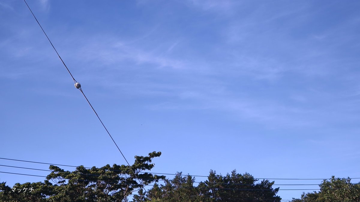 makomofu5170's tweet image. おはようございます
外は青空が広がり気持ちが良い朝を迎えました
こちらも今日梅雨明けかな
暑くなりますので
こまめに水分塩分補給と休憩しながら
無理せず乗り切りましょう
今日も宜しくお願い致します
良い一日をお過ごし下さい🎵