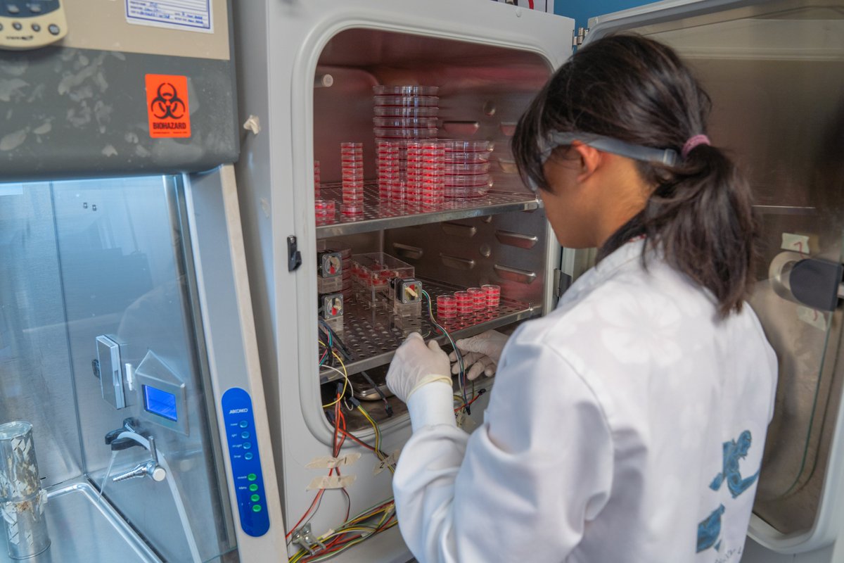 Keith Baar tweet media