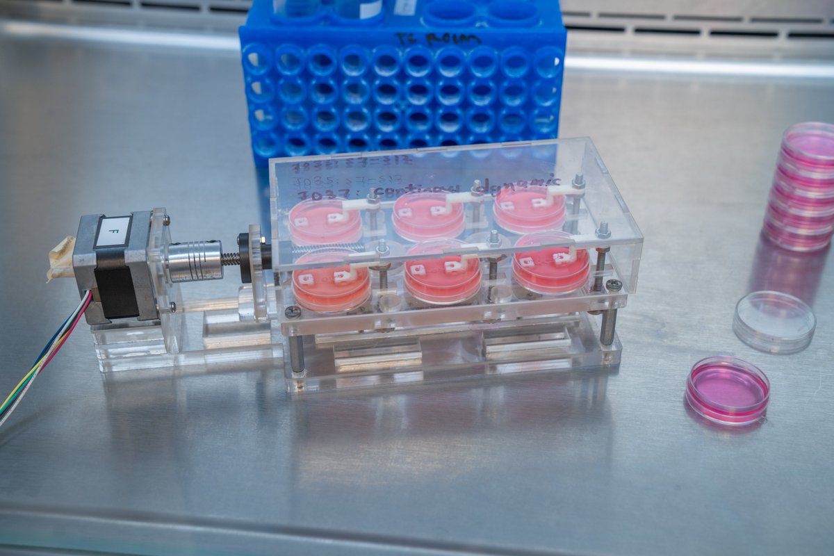 Keith Baar tweet media