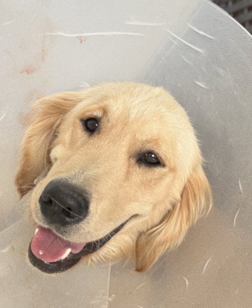 Emrahça tweet media