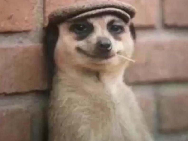 <a href="/GiveRep/">GiveRep</a> to you if you <a href="/GiveRep/">GiveRep</a>