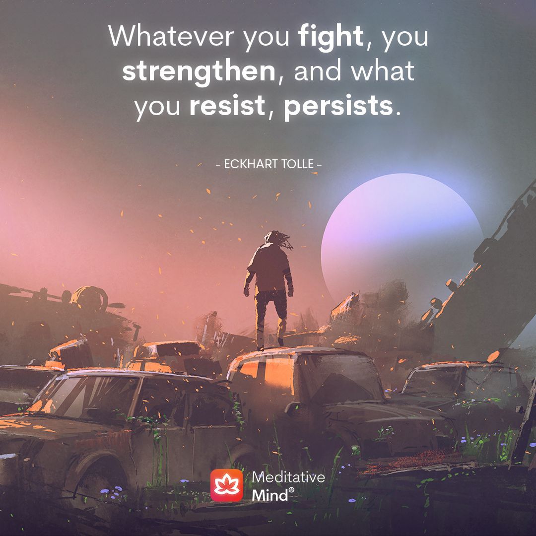 Meditative Mind tweet media