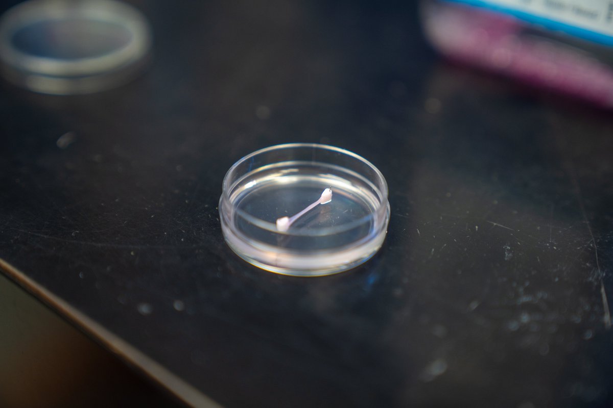 Keith Baar tweet media