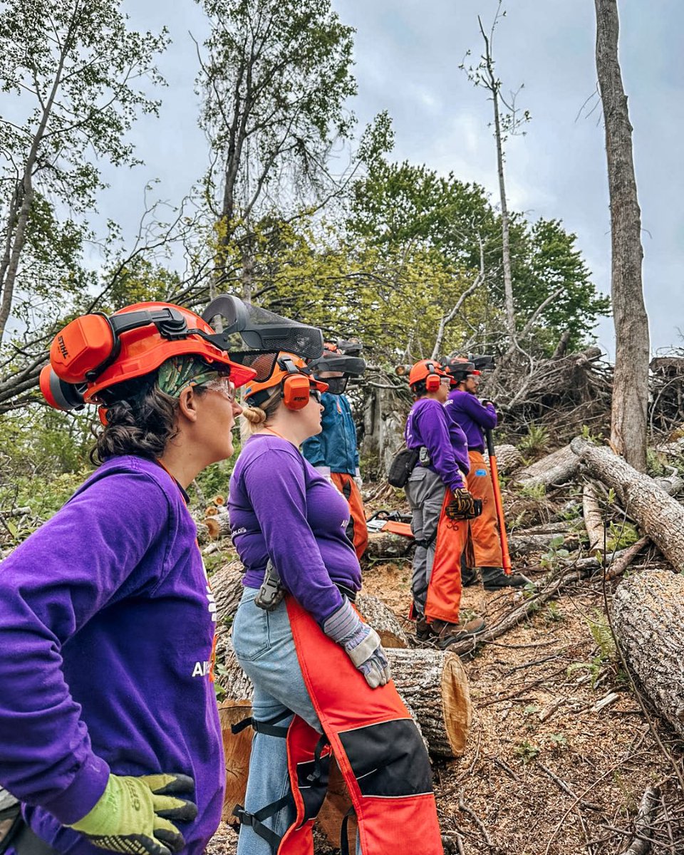 AllHandsHearts's tweet image. We're launching more chainsaw trainings.
Our next cohort dates are:
Cohort 5: July 22 - August 2
Cohort 6: August 5 - August 16
Sign up to volunteer in NC on our website and mail hurricanehelenerelief@allhandsandhearts.org to express your interest.