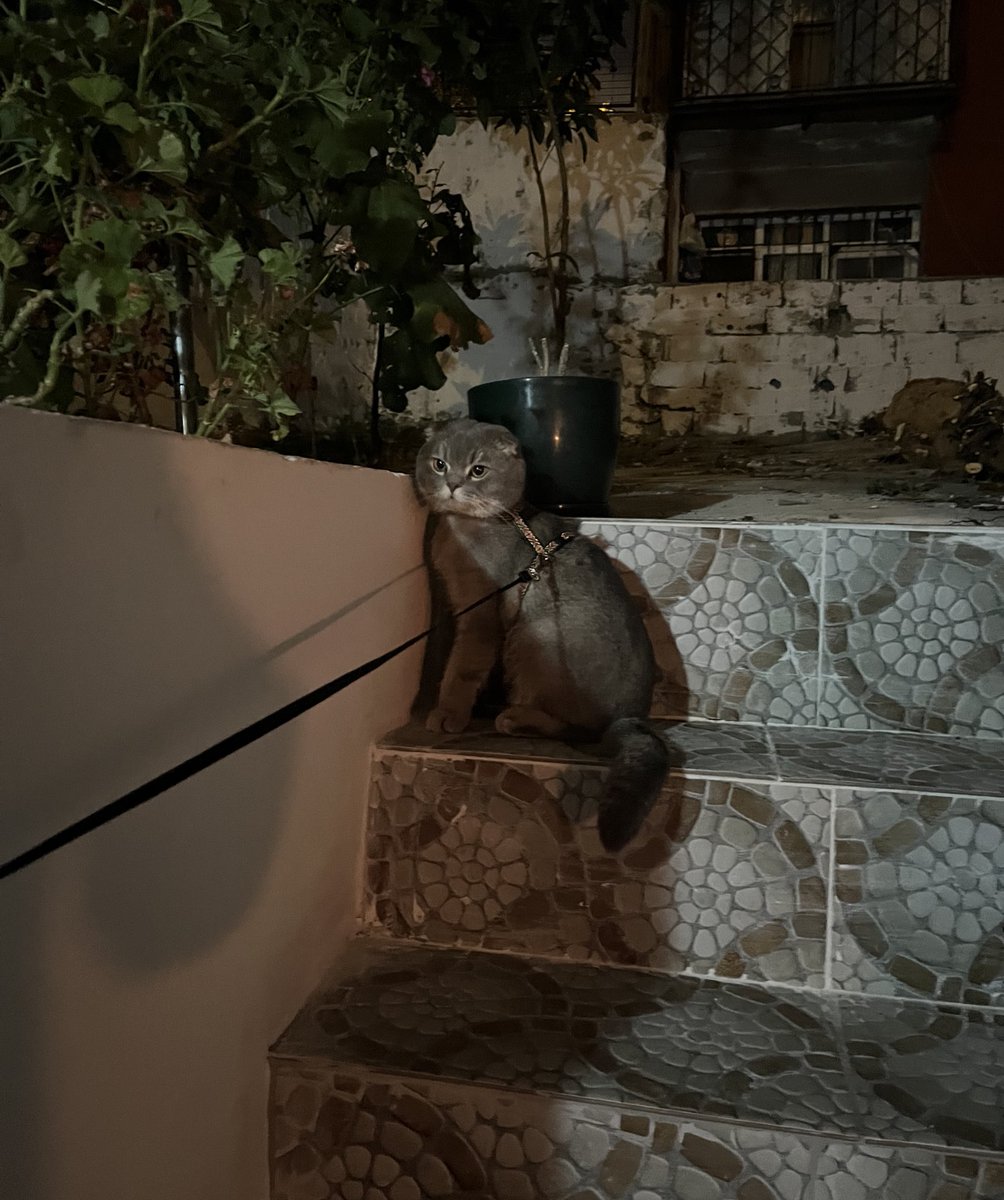 Tasma taktıgım icin ofkeli