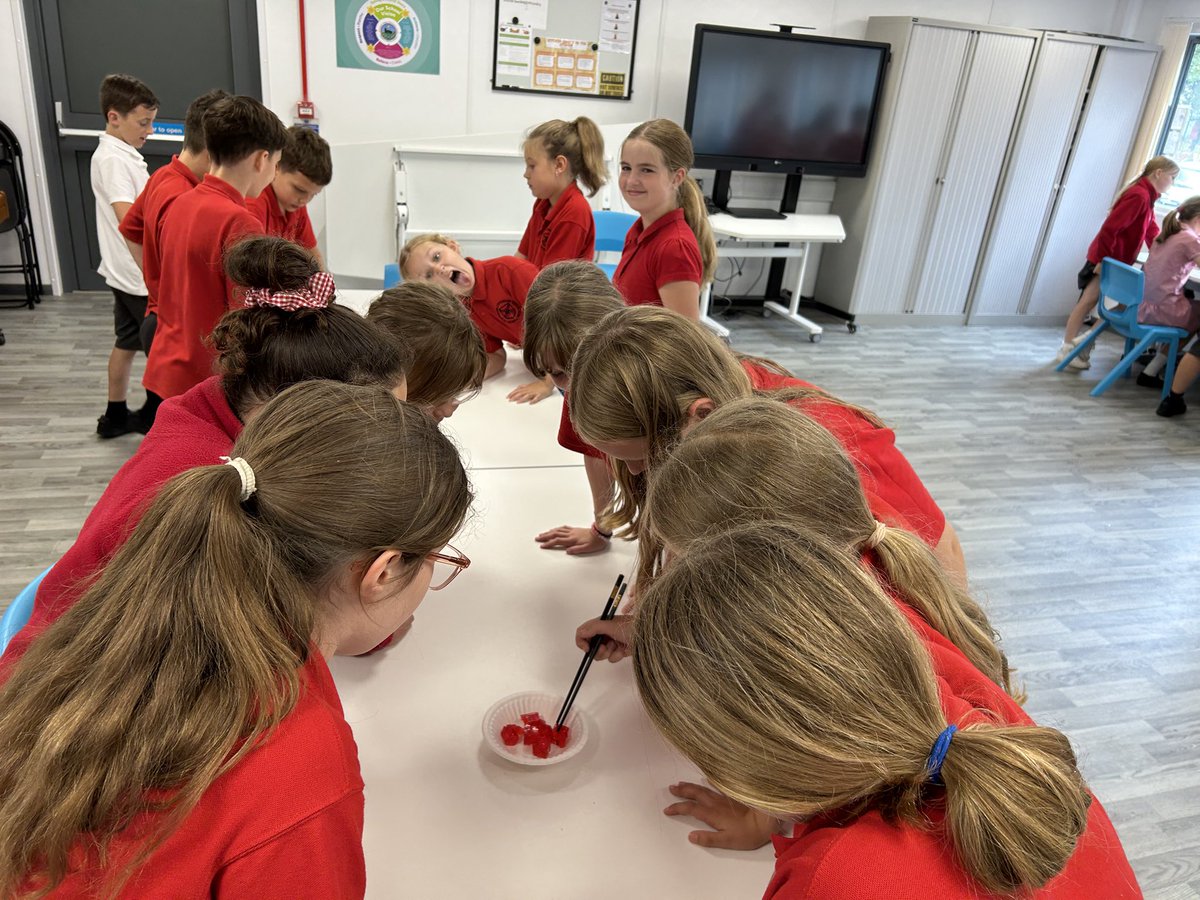 We loved the Jelly Cube experiment today! #SAMsY5 #SAMsSciTech