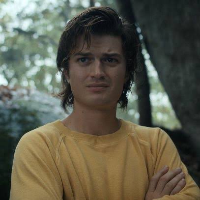 “i asked grok” “i asked chat gpt” well i asked steve harrington and he made this face