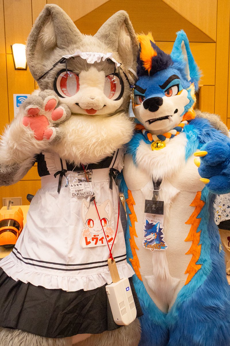 猫メイドレヴィンとTangMo君
✌︎( *&gt;ω &lt;)( &gt;ω&lt;* )/ツーショット！！！
#FursuitFriday #んなモフ 
(<a href="/DORANEKO0831/">DORANEKO next→PAWS(かるぴすちゅーる)</a> ＆<a href="/TangMoEat/">แตงโม</a> )