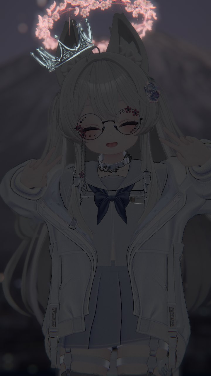 ✴︎ フルオーダーで可愛くお作りします ( ੭ ˙ᗜ˙ )੭ レディース プルオーバー（MY LITTLE WONDER×zen_sta