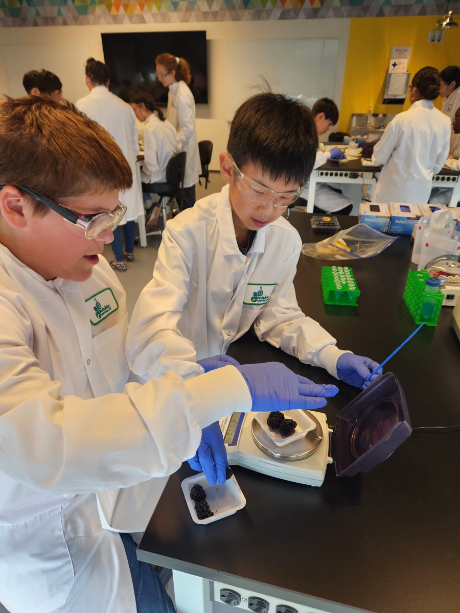 WhiteheadInst's tweet image. Science isn't about knowing all the answers - it's about being curious enough to ask questions. That's one lesson learned from Expedition: Bio, Whitehead Institute's summer science program for middle school students.