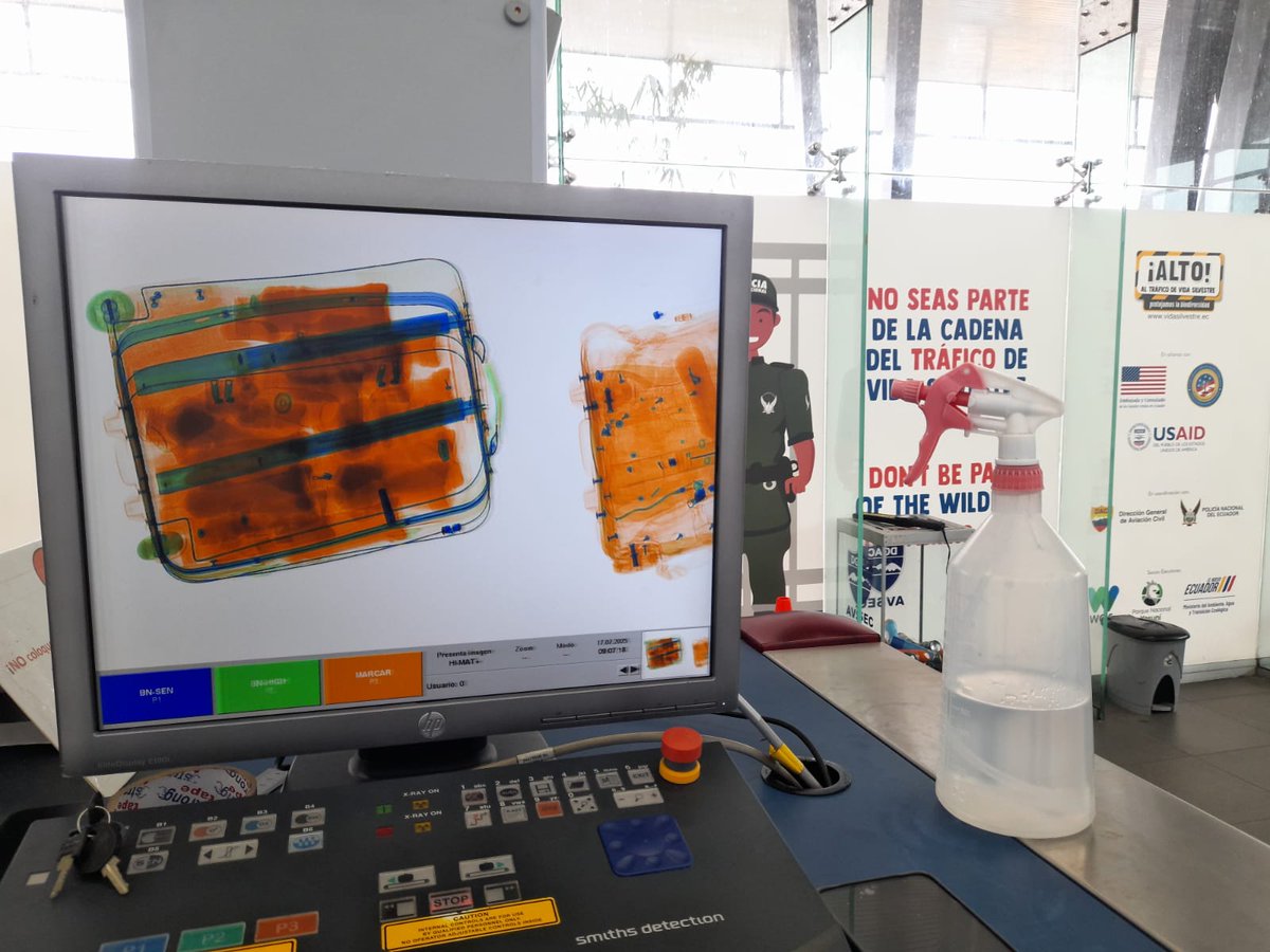 #Orellana | Personal técnico de #VidaSilvestre junto a seguridad del Aeropuerto de Francisco de Orellana realizaron un operativo de control para prevenir el tráfico de vida silvestre.

✅ Sin novedades reportadas.
👏 Los visitantes respaldaron la labor de la Autoridad Ambiental.