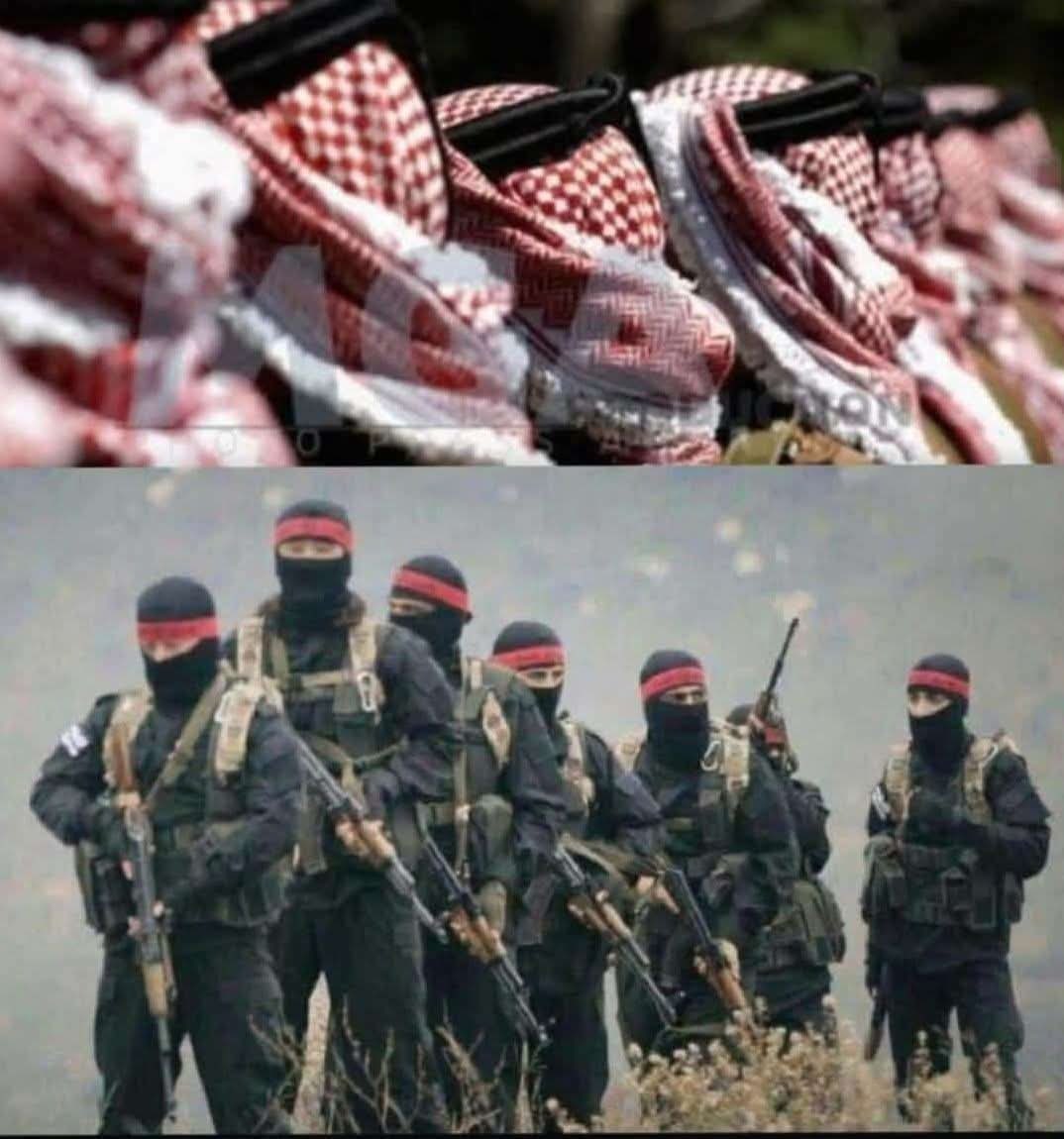amk81a8's tweet image. وإن غابت عصائبنا ،،،حضرت عشائرنا 

#السويداء