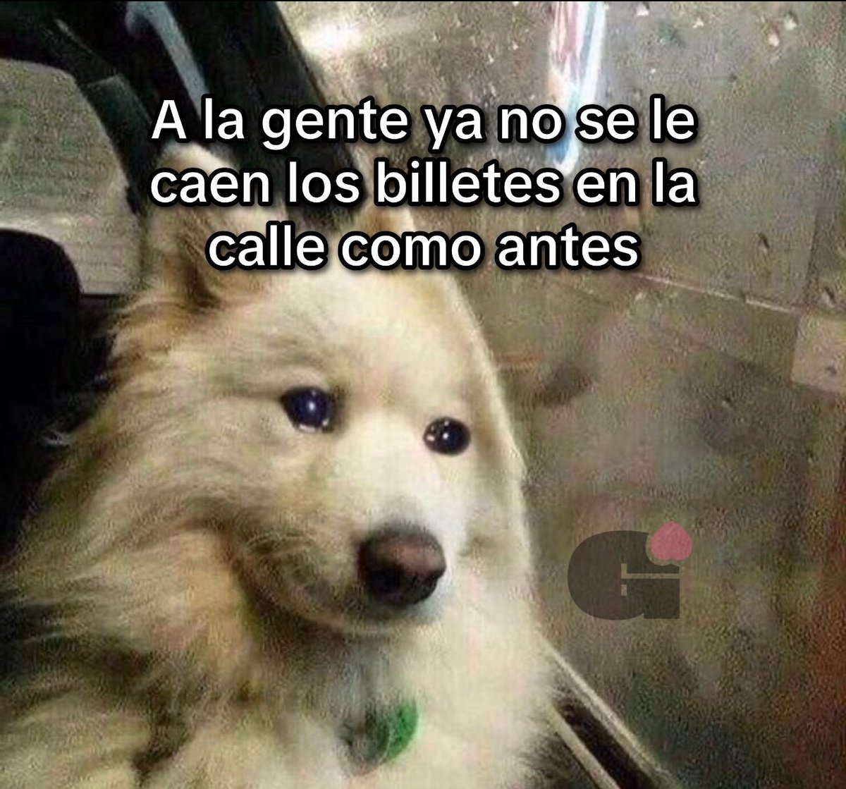Guarromantico_'s tweet image. Ya no es como antes.