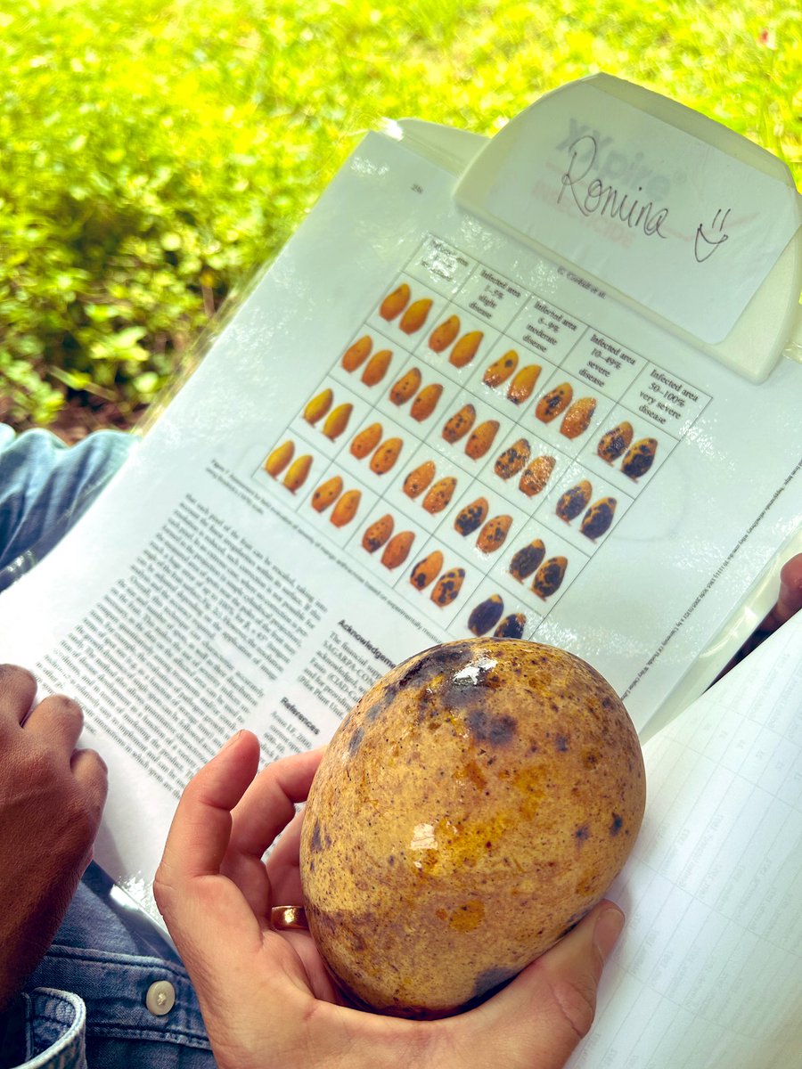 Tropical Plant Clinic & Research Lab tweet media