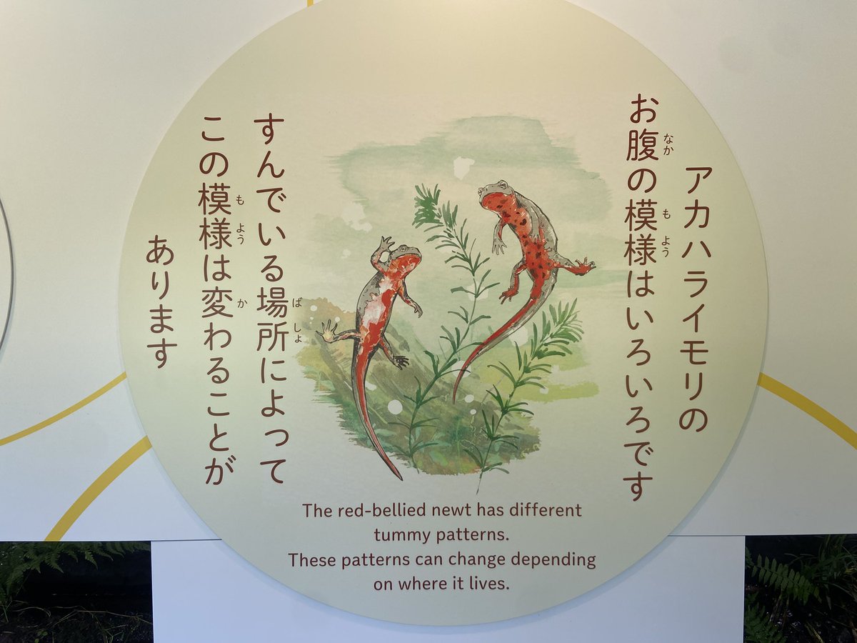 aquamarinestaff's tweet image. わくわく・はじまりの森の「ふくしま・いろんな生きものトンネル」では、イラストレーター・じゅえき太郎先生のゆるふわイラストがいっぱい!
生きものたちや自然についてやさしく紹介しています。
見ればもっと自然が好きになるはず!
#わくわくはじまりの森 #じゅえき太郎