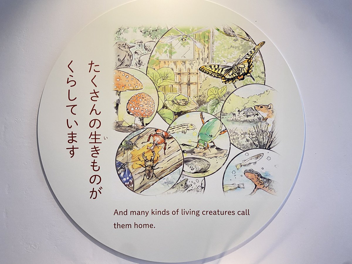aquamarinestaff's tweet image. わくわく・はじまりの森の「ふくしま・いろんな生きものトンネル」では、イラストレーター・じゅえき太郎先生のゆるふわイラストがいっぱい!
生きものたちや自然についてやさしく紹介しています。
見ればもっと自然が好きになるはず!
#わくわくはじまりの森 #じゅえき太郎