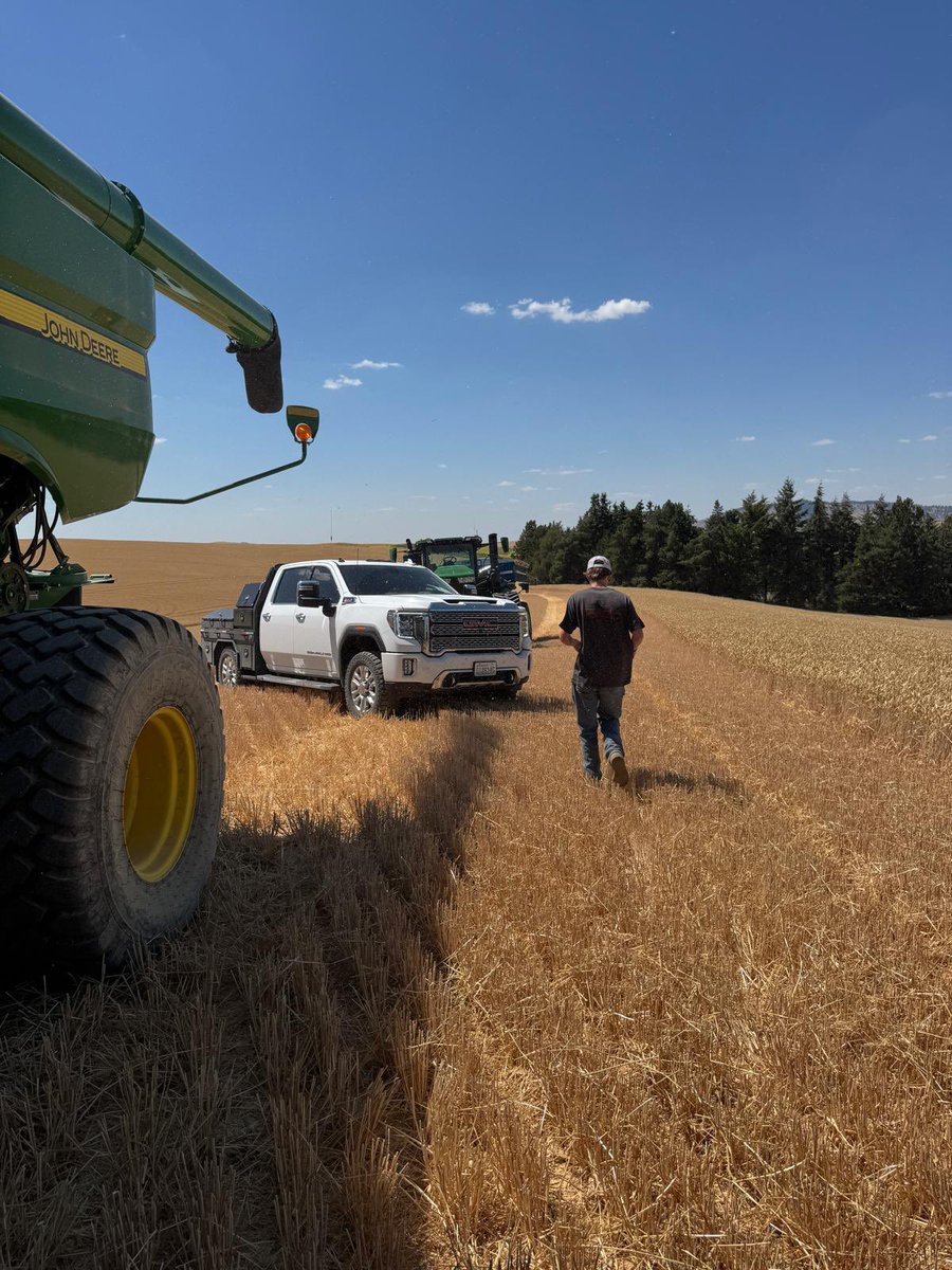 seed_terminator's tweet image. Harvest underway in the PNW 🇺🇸
Joe’s into it with his John Deere S-Series + Hillco + Seed Terminator. After 7 seasons, he says the paddocks are looking pretty clean 👌
#Harvest2025 #SeedTerminator #JohnDeere #Hillco #HWSC #USAAg